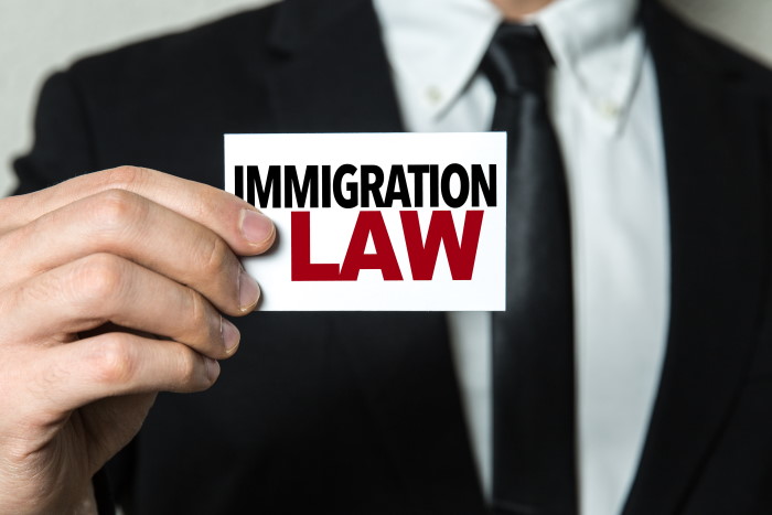 immigration law attorney