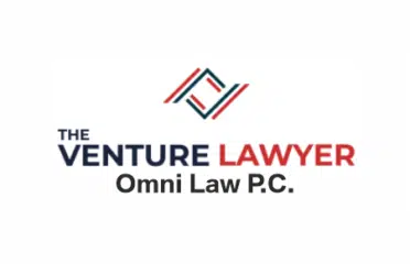 The Venture Lawyer