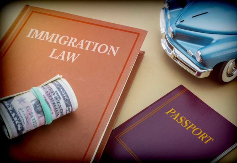 information about immigration law